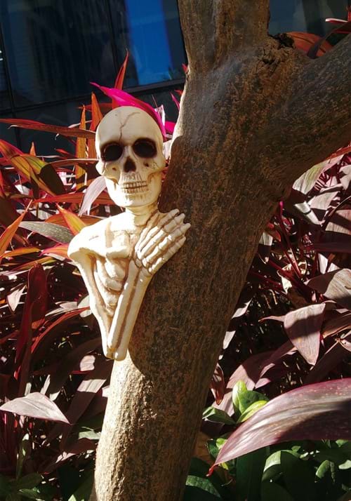 14-Inch Skeleton Tree Peeker Prop Decoration - US 6865