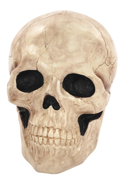 18.5 Inch Giant Skull Decoration - US 2292