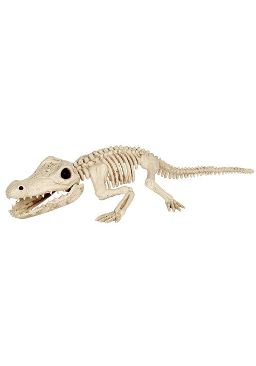 31-Inch Crocodile Skeleton Halloween Decoration - US 5075