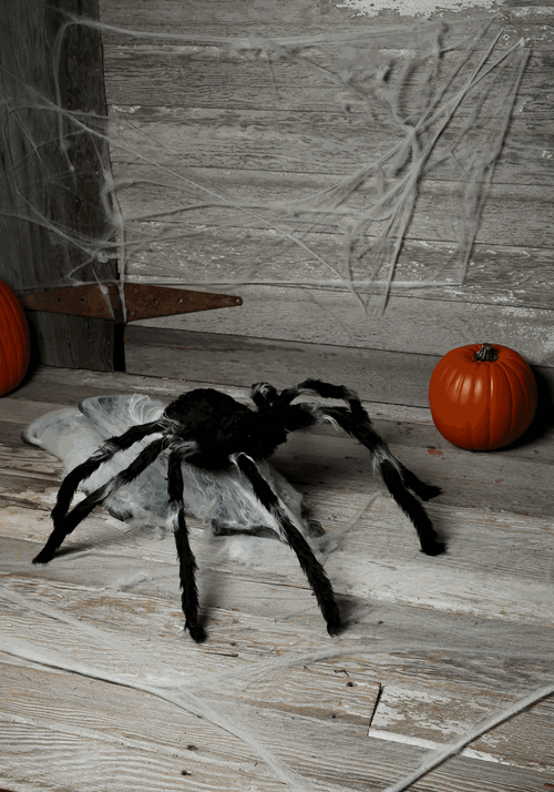 36" Giant Jumping Spider - US 8980