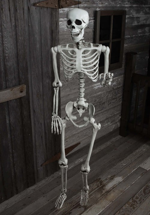 5FT Posable Georgie the Skeleton Life Size Decoration - US 1272
