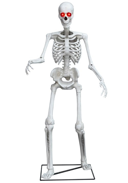 5FT Light Up Skeleton Decoration - US 3250
