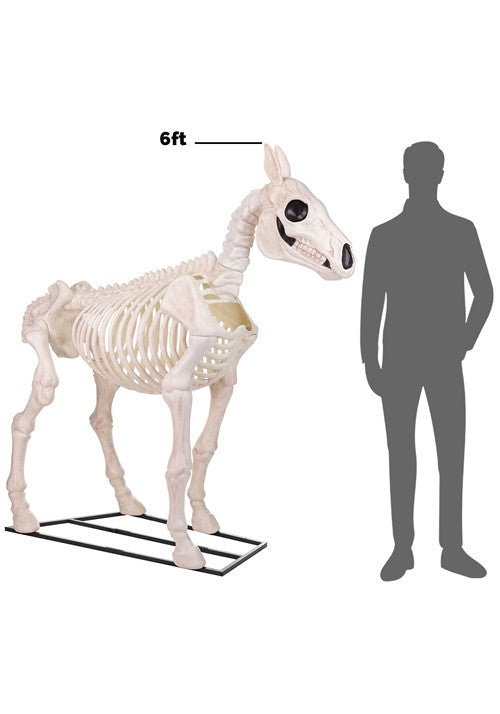 6FT Horse Skeleton Decoration - US 5516