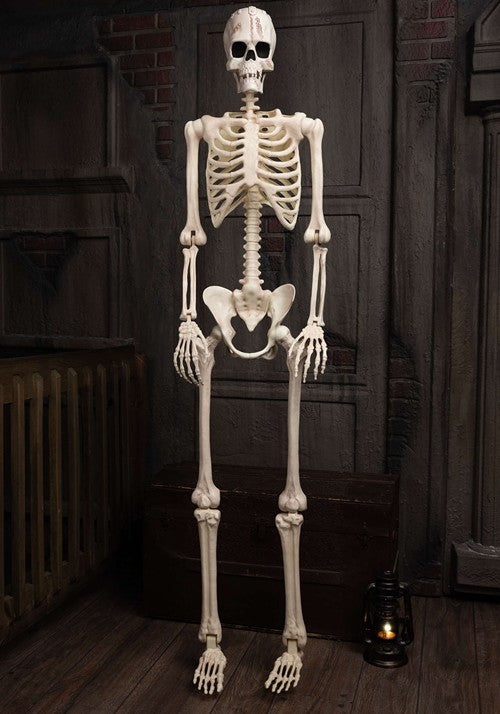Poseable Frankenstein Skeleton Halloween Decoration - US 5999