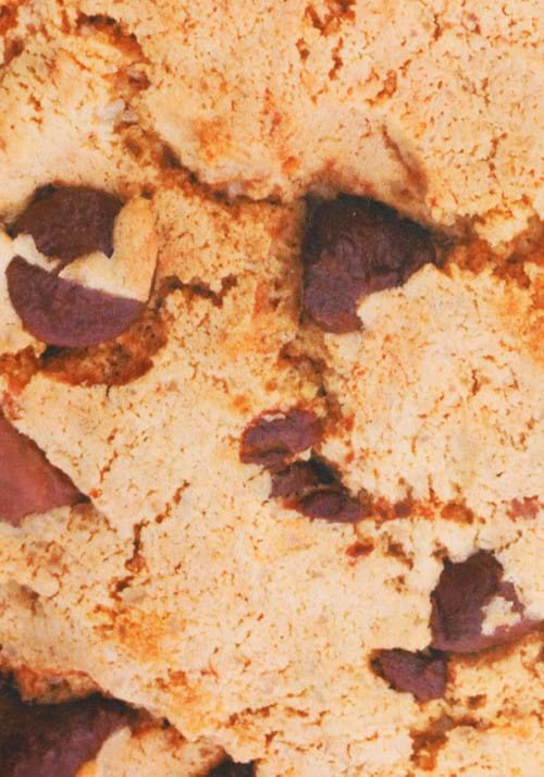 Adult Chocolate Chip Cookie Costume - US 8309