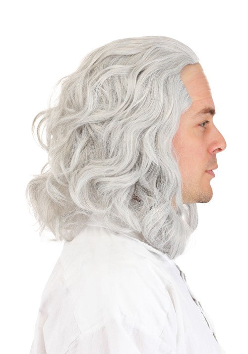 Adult Classic Ben Franklin Costume Wig - US 6998