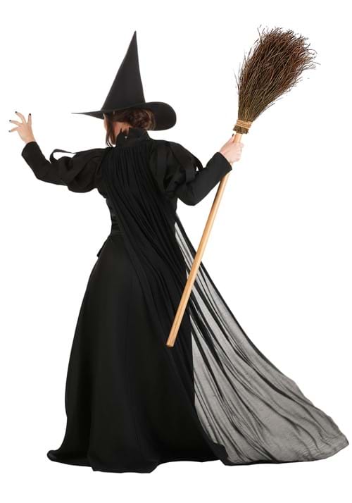 Premium Wayward Witch Adult Costume - US 8144