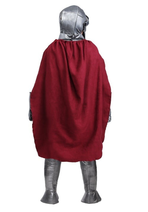 Royal Knight Costume for Boys - US 8993