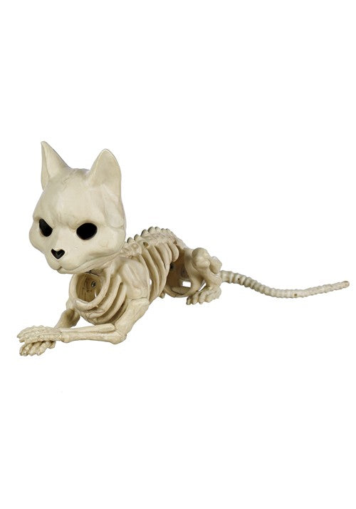 10.5-Inch Cute Skeleton Sitting Cat Decoration - US 2330