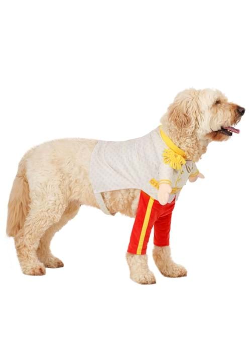 Disney Prince Charming Pet Costume - US 5414