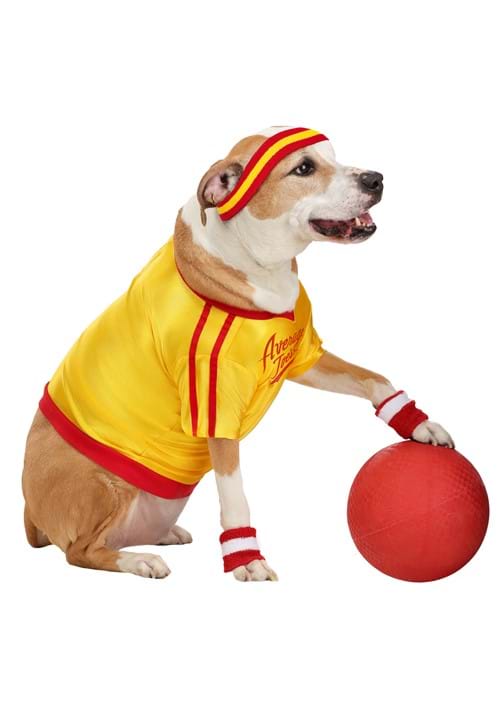 Dodgeball Average Joe's Pet Costume - US 0014