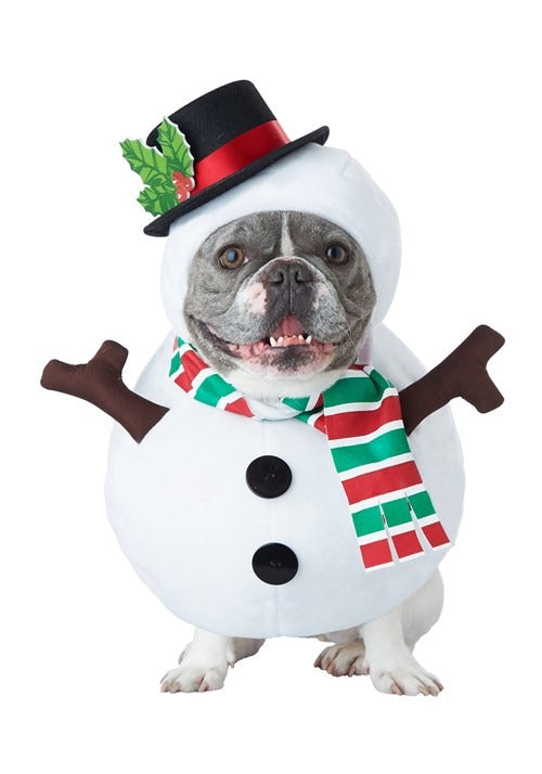 Snowman Dog Costume - US 1721