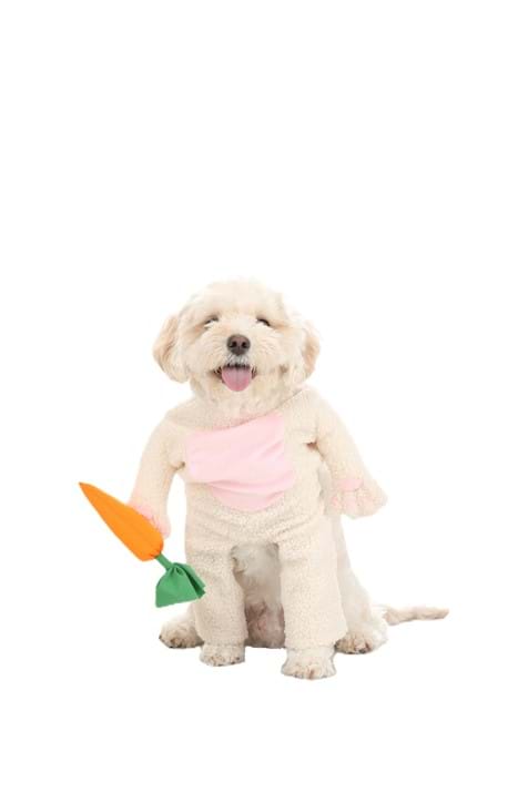 Fluffy Bunny Costume for Pets - US 9961