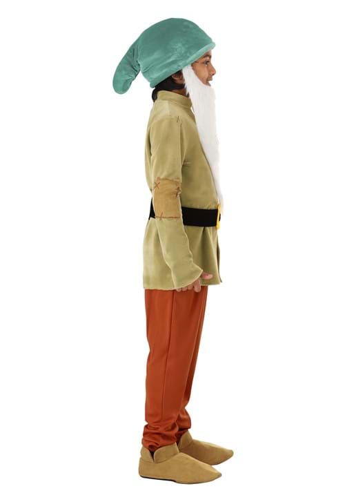 Disney Sleepy Dwarf Costume for Boys - US 7743