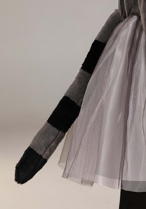 Tutu Raccoon Costume for Kids - US 0316