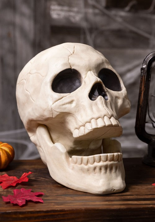 10-Inch Large Skull with Moveable Jaw Decoration - US 0626