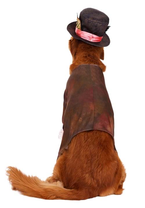 Live Action Disney Mad Hatter Pet Costume - US 8705