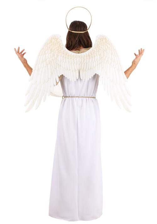 Heavenly Angel Men's Costume - US 5492