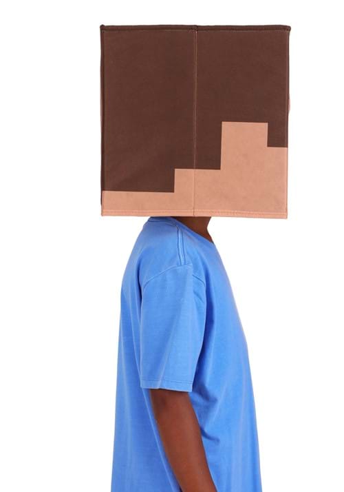 Adult Minecraft Steve Block Head Accessory - US 4793