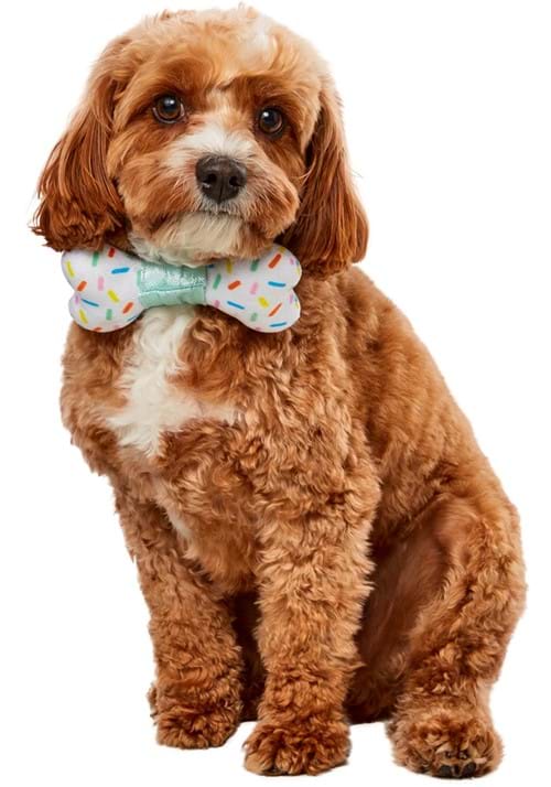 Party Bone Collar for Pets - US 3557