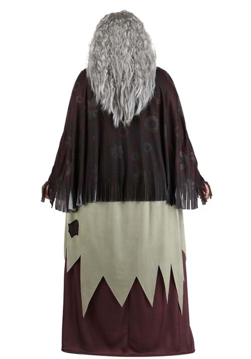 Plus Size 2019 Addams Family Grandmama Women's Costume - US 2935