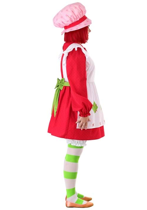 Women's Plus Size Retro Strawberry Shortcake Costume - US 4107