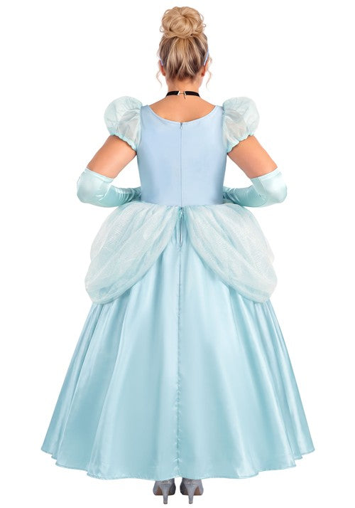 Plus Size Deluxe Disney Cinderella Costume Dress for Women - US 8704