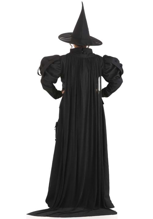 Women's Premium Wayward Witch Plus Size Costume Dress - US 3449
