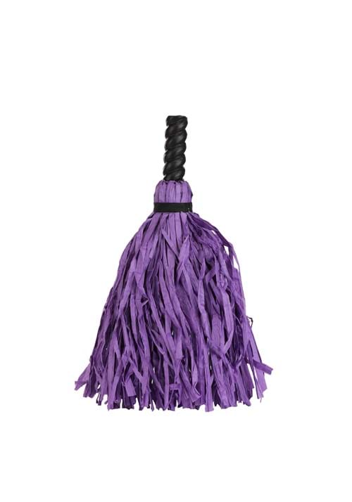Costume Purple Swirl Witch Broom - US 8682