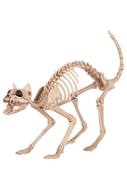 Skeleton Cat - US 9422