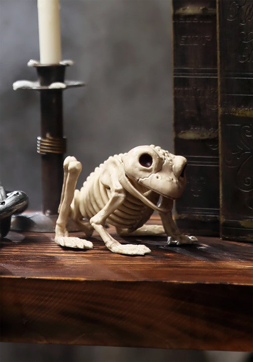 5-Inch Skeleton Frog Decoration - US 7793