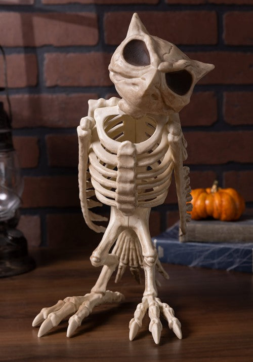 14-Inch Skeleton Owl Bones Decoration - US 5858