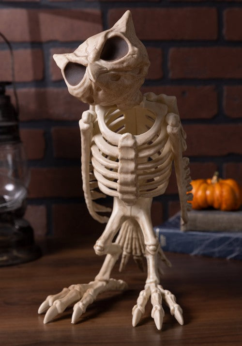 14-Inch Skeleton Owl Bones Decoration - US 5858