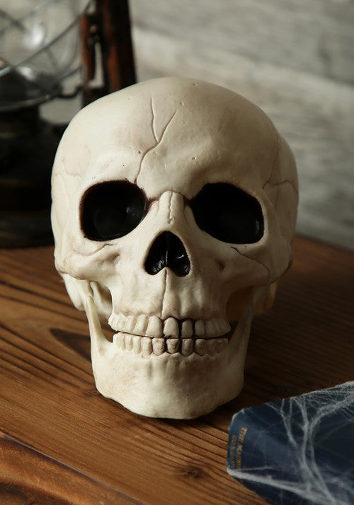 7-Inch Skull with Movable Jaw Prop Decoration - US 7879