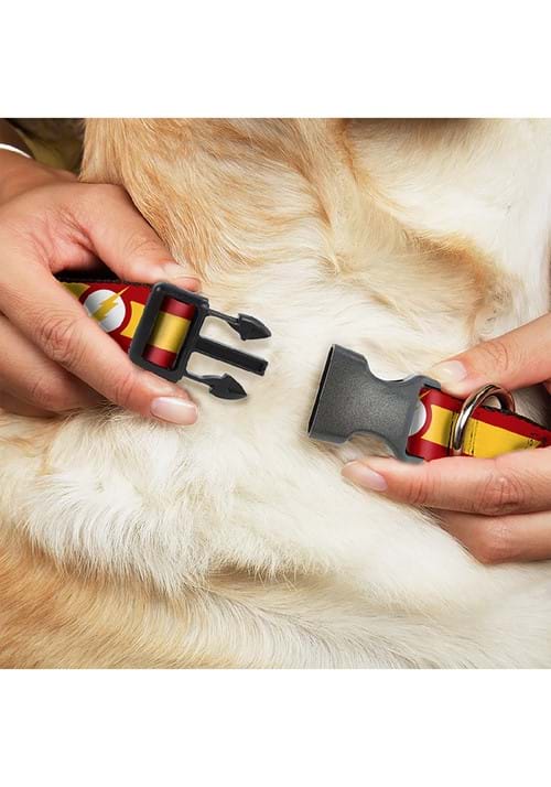 The Flash Logo Plastic Clip Collar - US 2460