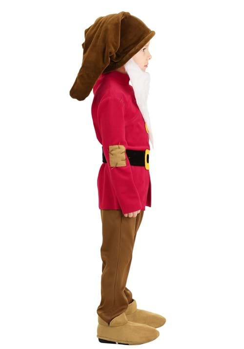 Disney Grumpy Dwarf Costume for Toddlers - US 7629