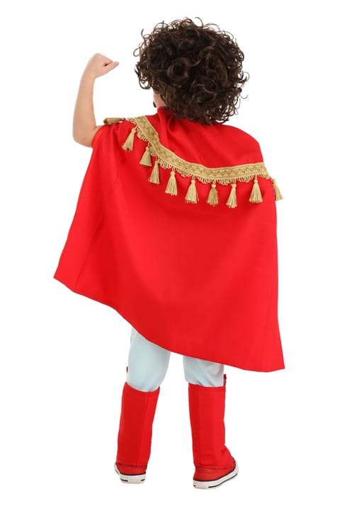 Boy's Lovable Luchador Toddler Costume - US 1752