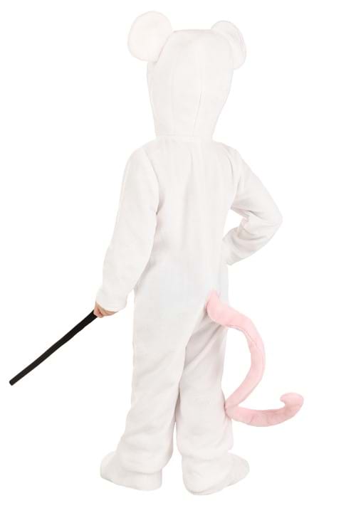 Nursery Rhyme Blind Mice Costume for Toddlers - US 5179