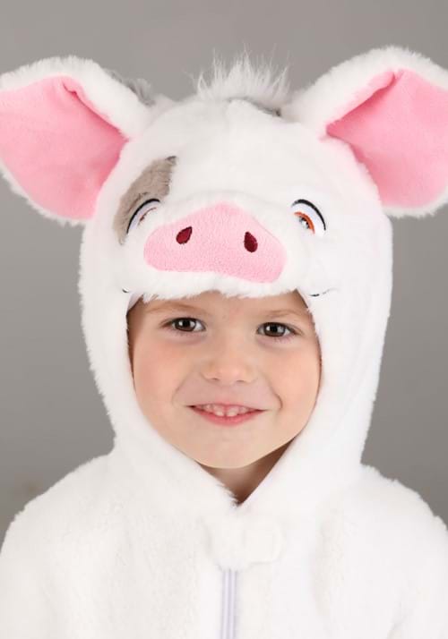 Disney Toddler Pua Moana Costume - US 9909