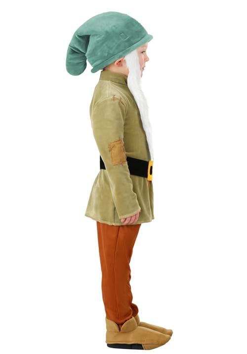 Disney Sleepy Dwarf Costume for Toddlers - US 3919