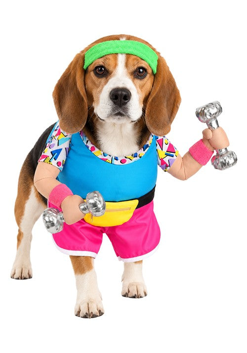 Work Out 1980s Costume for Pets - US 9328