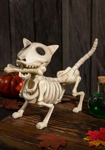 10.5 Inch Digger the Dog Skeleton Decoration - US 3435