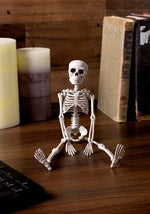12-Inch Plastic Realistic Skeleton Decoration - US 3078