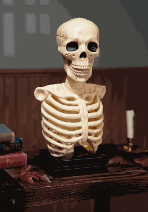 16-Inch Skeleton Bust with Light & Sound Halloween Decoration - US 2030