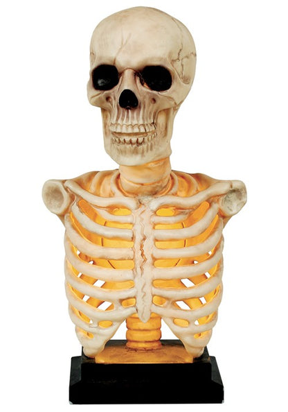 16-Inch Skeleton Bust with Light & Sound Halloween Decoration - US 2030