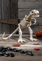 16-Inch T-Rex Skeleton Bones Decoration - US 3881