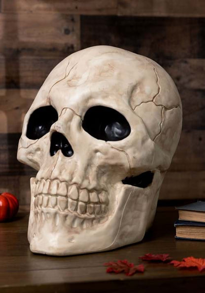18.5 Inch Giant Skull Decoration - US 2292