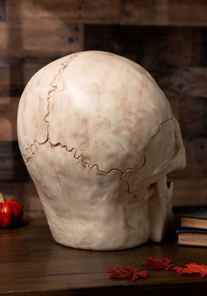 18.5 Inch Giant Skull Decoration - US 2292