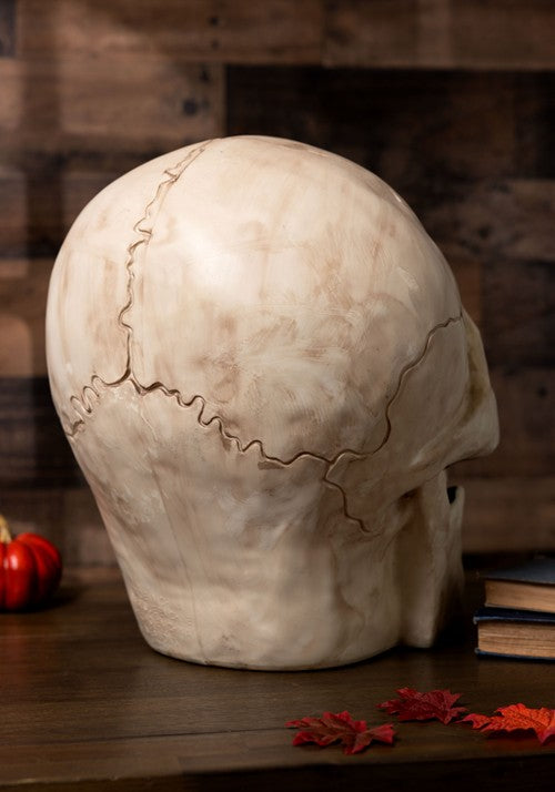 18.5 Inch Giant Skull Decoration - US 2292