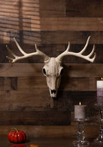 21-Inch Buck Skull Prop Decoration - US 0812